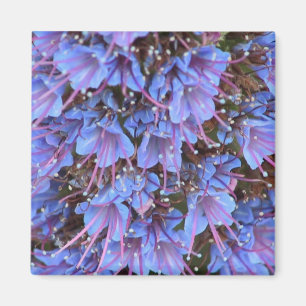 Purple Passion Magnet