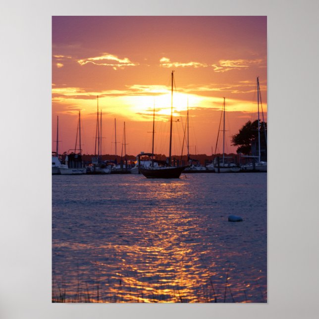 Purple Passion Sunset Poster (Vorne)