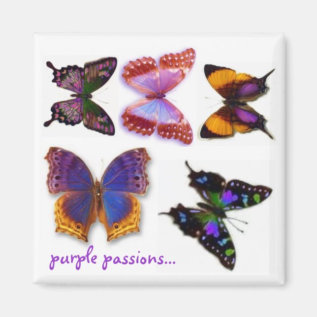 Purple Passions Papillons Magnet par S Ambrose (Devant)