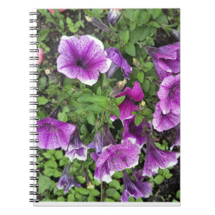 Purple Petunia Flowers Nature Photography Notebook Notizblock