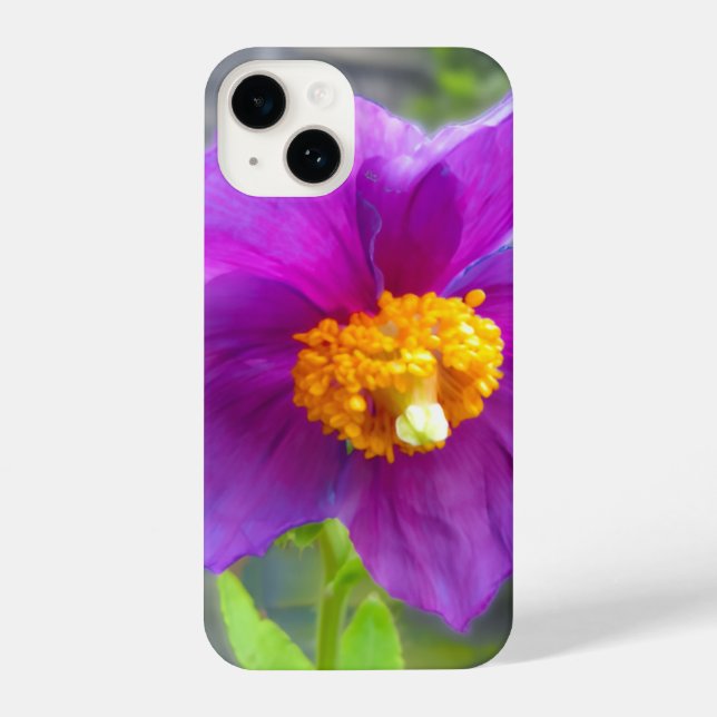 Purple poppy phone cover iPhone 14 hülle (Rückseite)