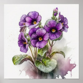 Purple Primrose Fleurs Art Imprimer Poster