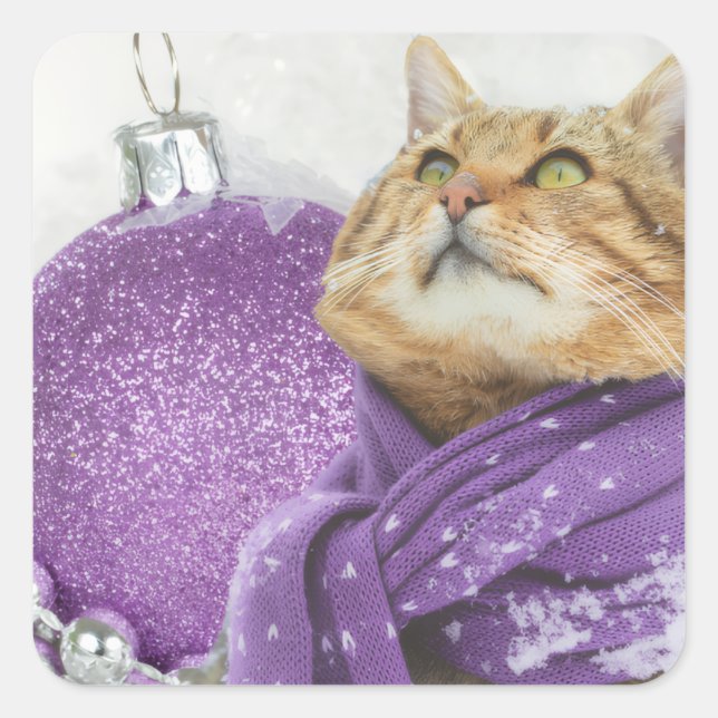 Purple Scarf Winter Cat Stickers (Devant)