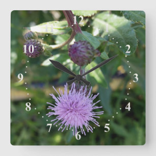 purple splash quadratische wanduhr