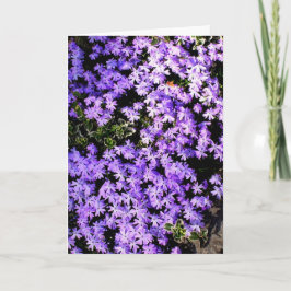 'Purple Springtime' Leere Grußkarte Karte