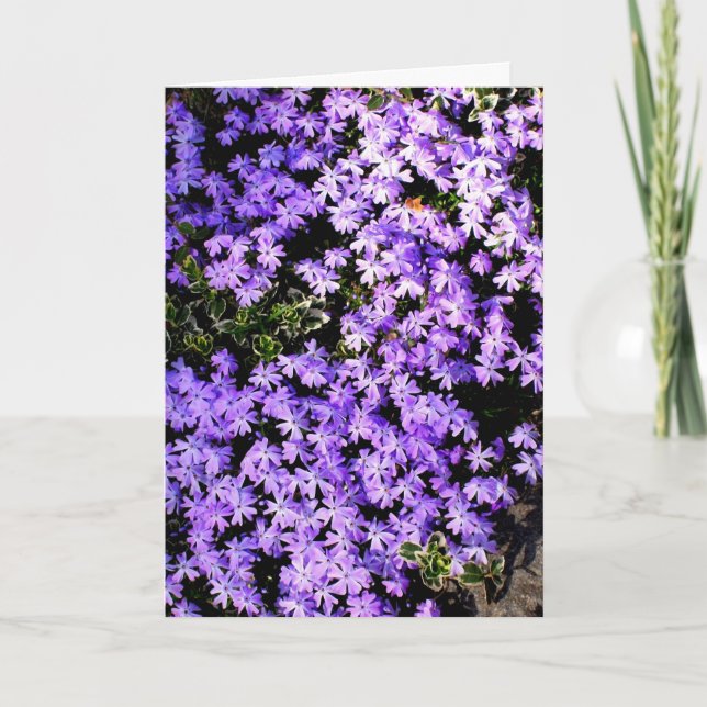 'Purple Springtime' Leere Grußkarte Karte (Vorderseite)