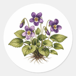 Purple Violet Vintage Style Botanical Runder Aufkleber