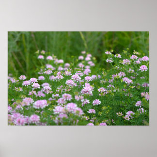 Purple Wildflowers Poster