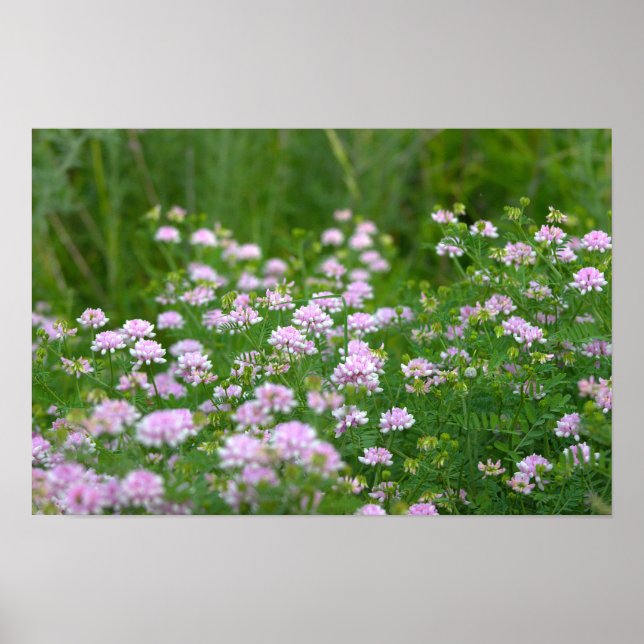 Purple Wildflowers Poster (Vorne)