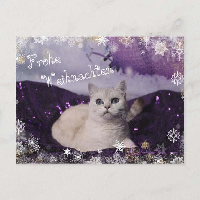 Purple XMAS Cats Feiertagspostkarte (Vorderseite)