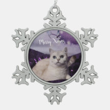 Purple XMAS Cats