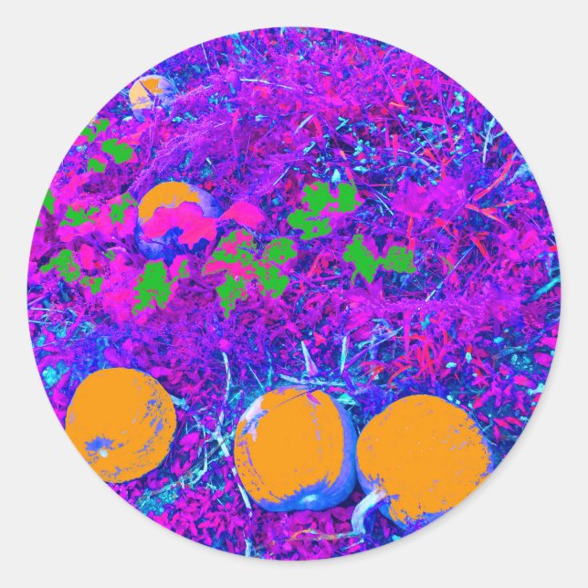 Purplish Pumpkin Field in Pop Art Style Runder Aufkleber (Vorderseite)