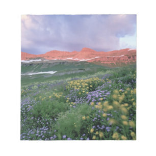 Purpur-Fleabane (erigeron peregrinus) und Gelb Notizblock