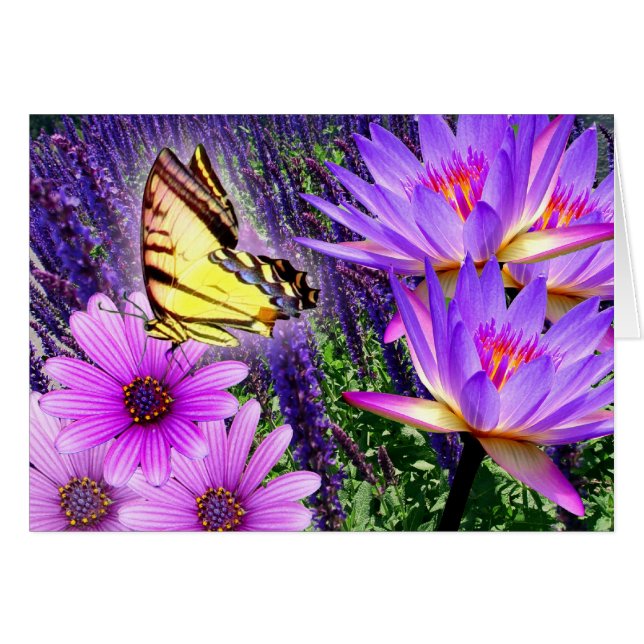 Purpur in der Natur (Vorderseite (Horizontal))