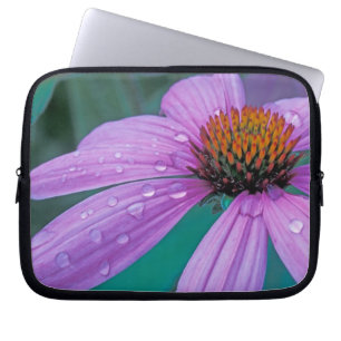 Purpur-Scheibenblume mit Wassertropfen Laptopschutzhülle