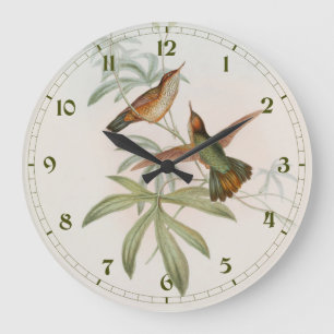Purpur-Schwanz-Avocet-Kolibri von John Gould Große Wanduhr