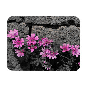 Purpurblumen Magnet