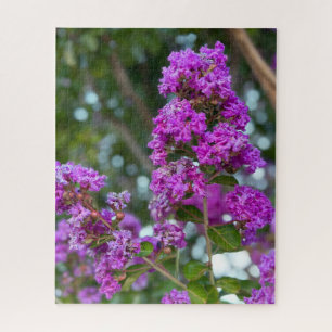 Purpurrote Crape Myrte, Livermore