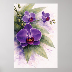 Purpurrote Orchideen-Botanik Poster