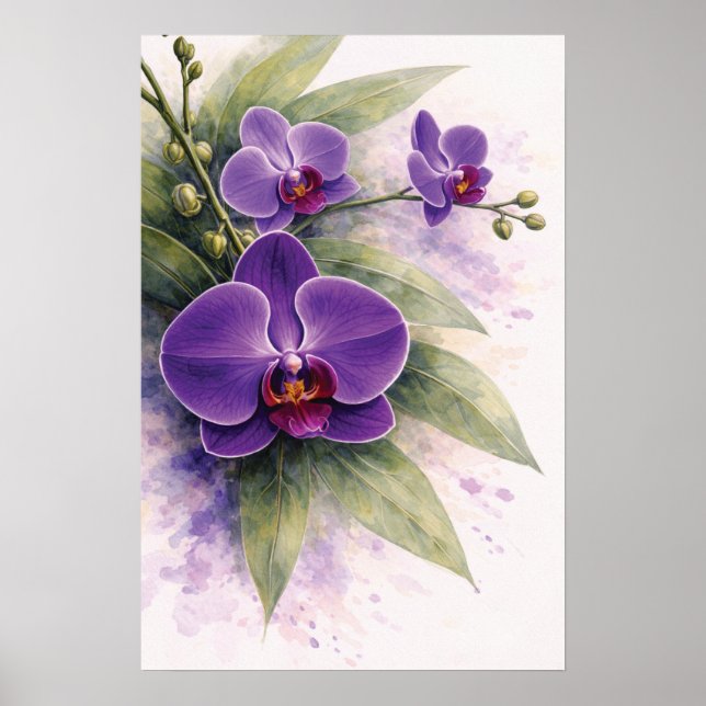 Purpurrote Orchideen-Botanik  Poster (Vorne)