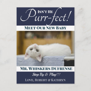 "Purr-fect" Ankündigung der neuen Katze Postkarte