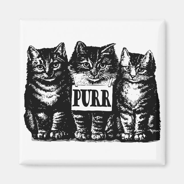 Purr Kittens Magnet (Vorne)