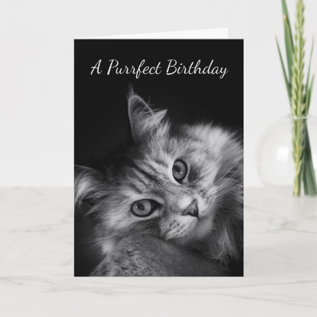 Purrfect Geburtstag wünscht Karte (Vorderseite)