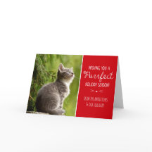 Purrfect Katzen-Thema-Feiertags-Foto-Karte