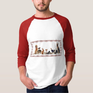 Purrfectly entzückender Raglan-T - Shirt