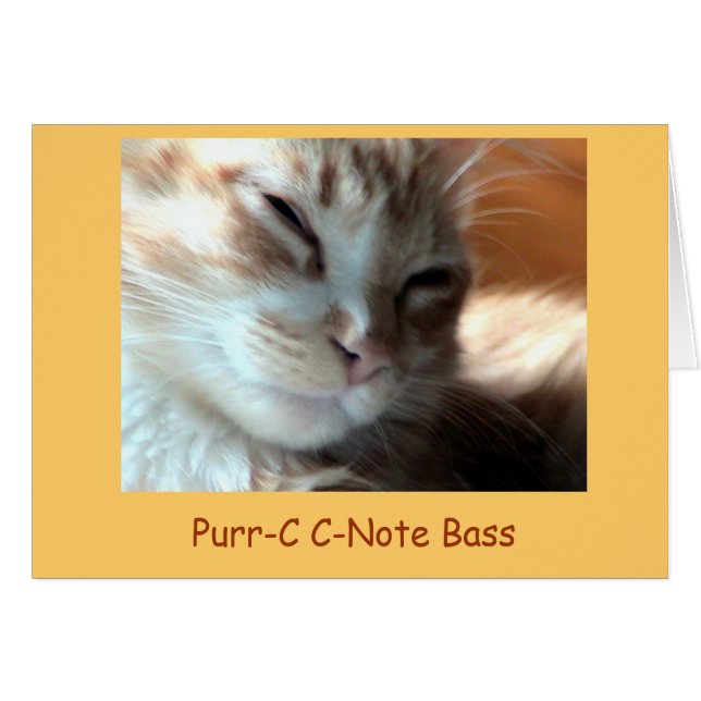 Purrfectly Schnurren-c, Schnurren-c C-Anmerkung (Vorderseite (Horizontal))