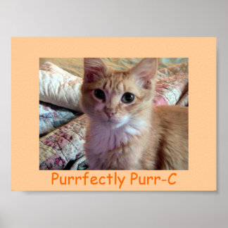PURRFEKT-C-Poster Poster