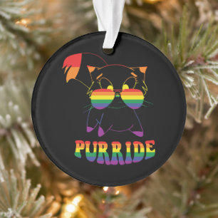 Purride   Niedliche Gay Cat   Lesbisch   Regenboge Ornament