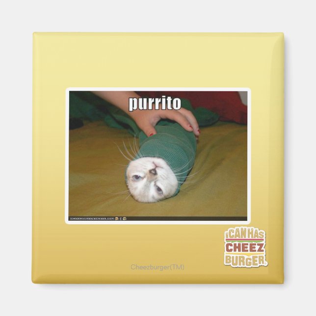 Purrito Magnet (Vorne)