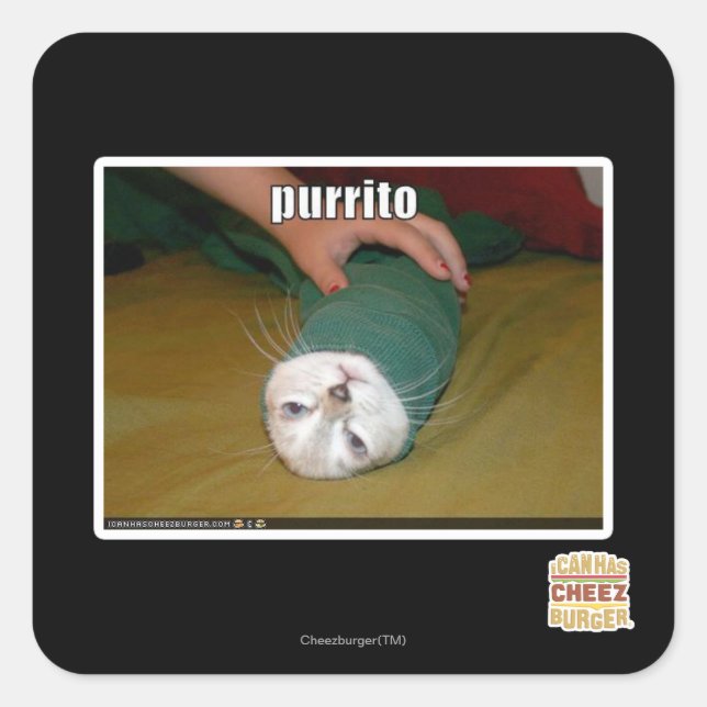 Purrito Quadratischer Aufkleber (Vorderseite)