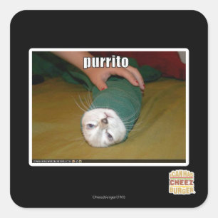 Purrito Quadratischer Aufkleber