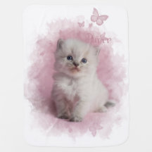 Purrr rosa Kätzchen