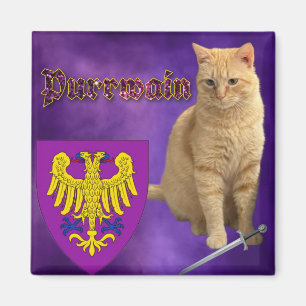 Purrwain magnet