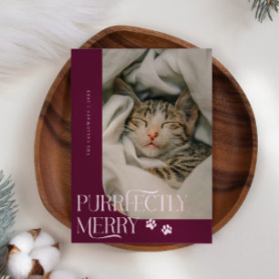 Purtly Merry Cat Foto Cranberry Weihnachten