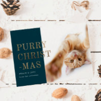 Pury Weihnachts Cat Foto Deep Green Gold