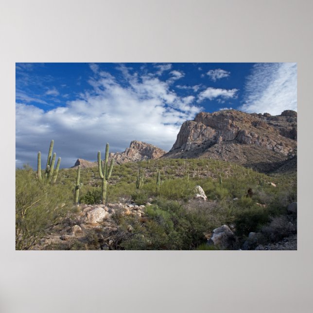 Pusch Ridge Landschaft Poster (Vorne)