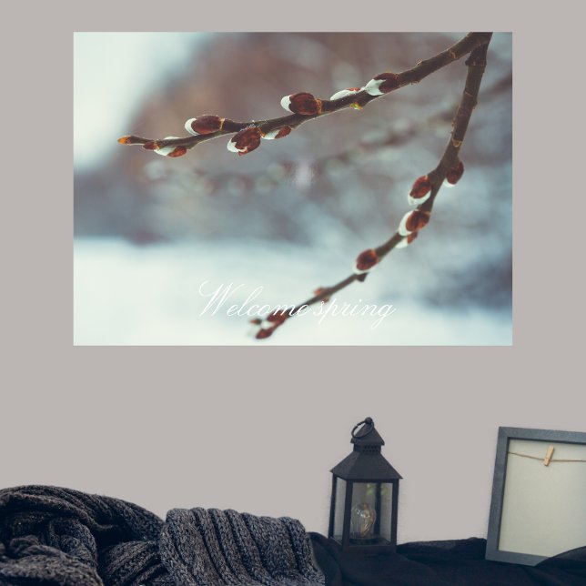 Pussy Weide Zweige mit Katkins im Späten Winter Poster (Von Creator hochgeladen)