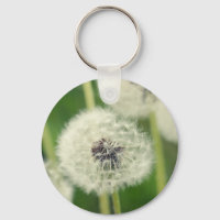 Pusteblume 2013 2