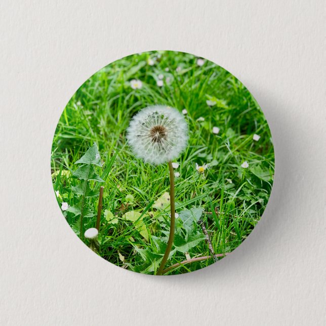 Pusteblume auf einer Wiese 1 Button (Vorderseite)