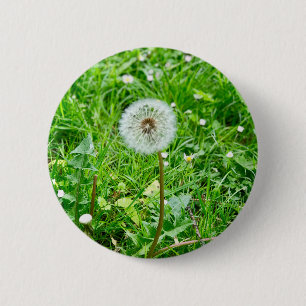 Pusteblume auf einer Wiese 1 Button