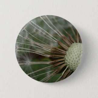 pusteblume button