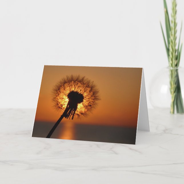 Pusteblume / Dandelion Karte (Vorderseite)