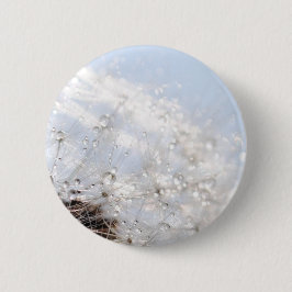 Pusteblumen Löwenzahn Himmelblau Fotografie Button
