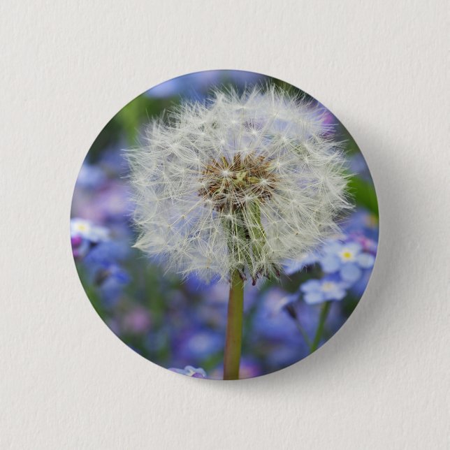 Pusteblumen Traum in blauen Vergissmeinnichtblüten Button (Vorderseite)