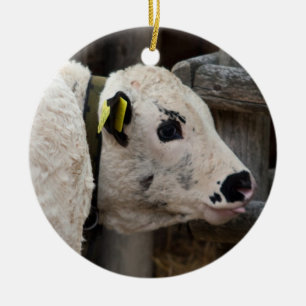Pustertal Pied Calf Keramikornament