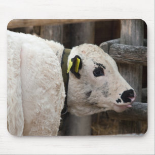 Pustertal Pied Calf Mousepad